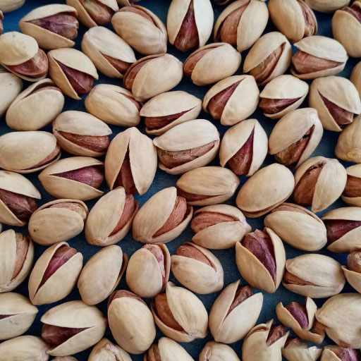 پسته فندقی