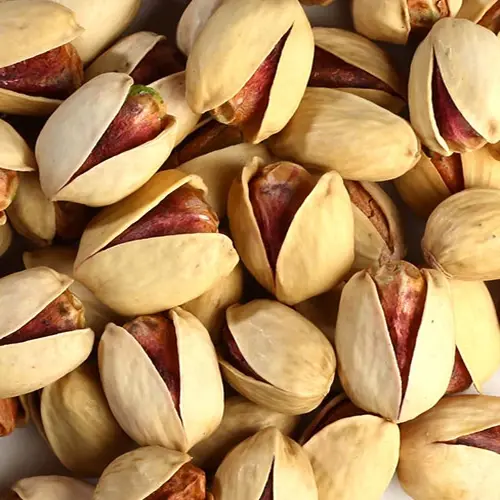 پسته کله قوچی